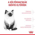 Royal Canin Kitten - Kölyök macska száraz táp/400g